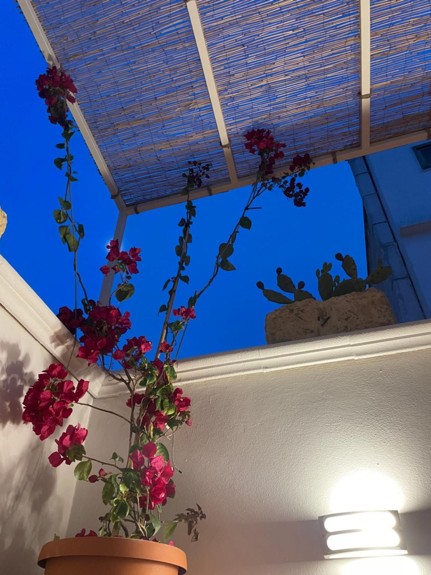 הוילה מולה די בארי Casa Mia מראה חיצוני תמונה